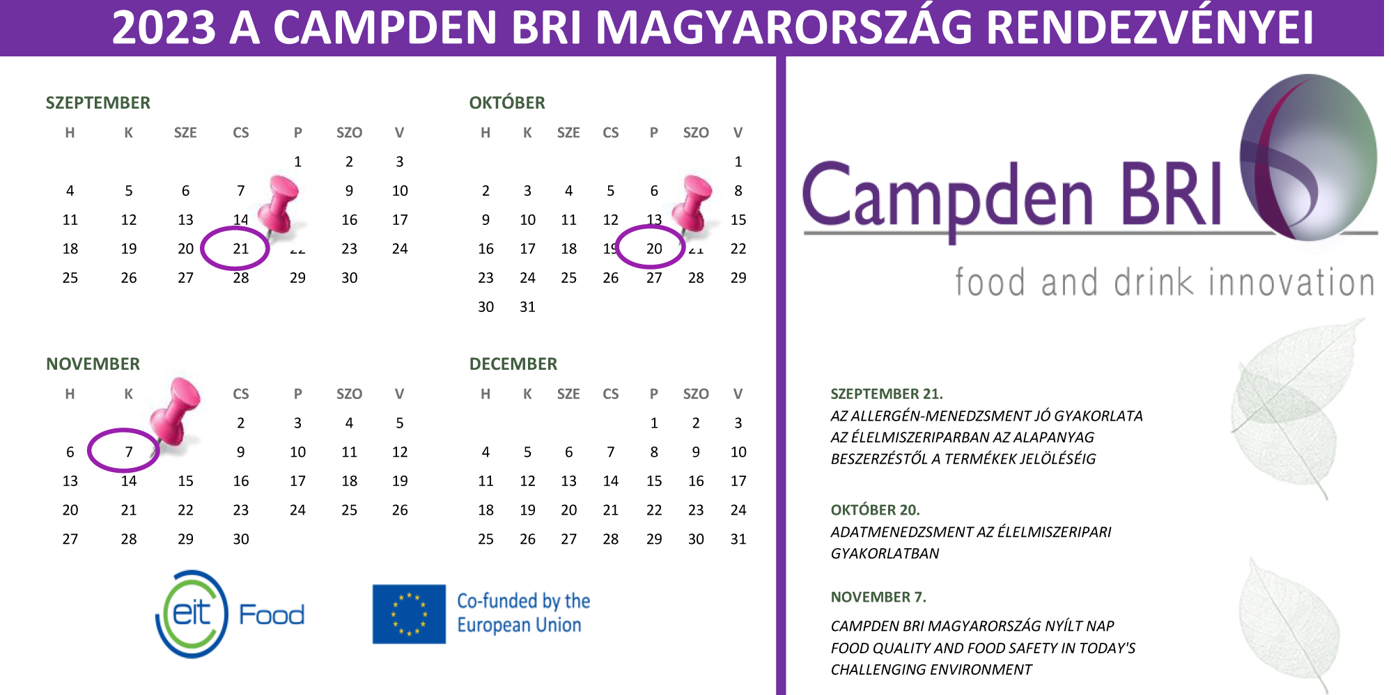 Rendezvények